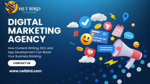 Best Digital Marketing Agency in Noida