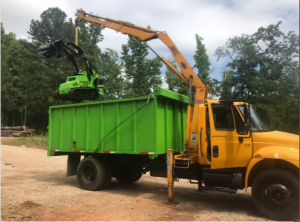 Expert Tree Services in Your Area: Trust 9 Oak Tree Service for Quality Care