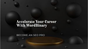 Best SEO Training Course