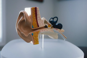 Breaking Through the Silence: Exploring the Latest Innovations in Tinnitus Treatment