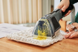 What Are the Best Sofa Cleaners for Couches?
