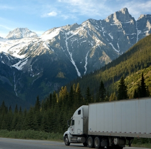 Exploring the Benefits of Pack Rat Storage: A Comprehensive Guide