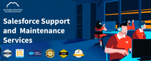 Salesforce Support and Maintenance Services