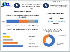 Carbon Credit Market Forecast: 30.2% CAGR Leading to USD 2859.31 Bn by 2030