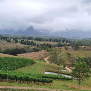 Unveiling Hunter Valley's Best: An Ideal Day Trip from Sydney