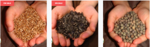Boost Your Health with Top Organic Sprouting Seeds Today