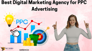 Best Digital Marketing Agency for PPC Advertising