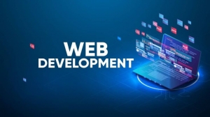 Best Web Development Software Services in Noida: Zolexo Mart is the Leading Web Development Company