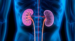 Choosing the Best Nephrologist in Narayana Hrudayalaya