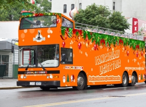 Why Iconic Cruises Are the Perfect Holiday Gateway