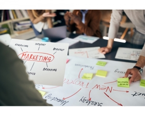 Grow Your Business with The Web Co: Your Trusted Marketing Agency in New Zealand