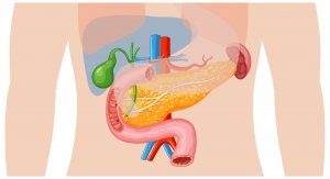 Global Gastroenterology Market Analysis Business Revenue Forecast Size Leading Competitors And Growth Trends