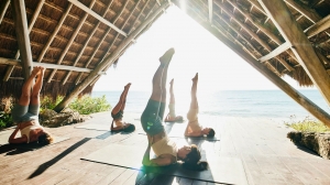 Best 200 Hr Yoga Teacher Training Course in Rishikesh: Your Path to Transformation