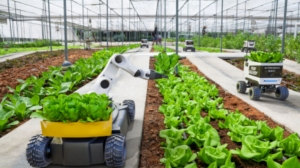 The Impact of Robotics IMU on Real-Time Stabilization