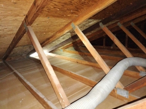 Common Mistakes to Avoid During Your Attic Cleaning Process