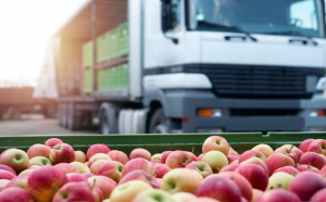 The Unsung Heroes of the Food Industry: A Look at Food Distributors