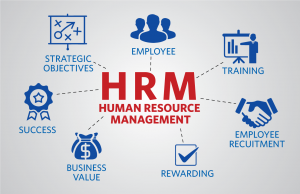 Want Better HR Decisions? The Power of HR Management Software Revealed