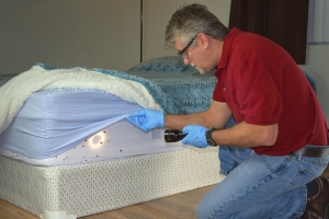 How to Get Rid of Bed Bugs From a Mattress ?