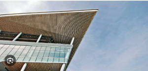 Understanding Einstein’s IQ, Hawk Tuah, and the 222 Angel Number