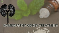 Chronic Kidney Disease Treatment at Bharat Homeopathy: A Natural Solution for Lasting Relief
