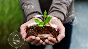 Global Biostimulants Market is expected to surge a value of USD 5.9 billion by 2024 to 2033, at a CAGR of 8.1%.