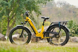 What Are the Advantages of a Fat Tire Electric Bike?