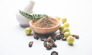 Herbal Powders Manufacturer and Supplier
