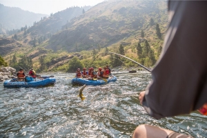 4 Things You Can See on an Idaho Whitewater Rafting Tour