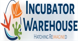 Incubator Success Stories: Startups That Made It Big