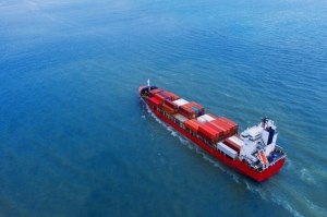 Top Ways Ocean Freight Software Reduces Costs In Global Shipping