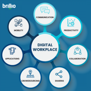 Transforming the Future of Work: How Digital Workplace Services Can Boost Your Organization’s Productivity 
