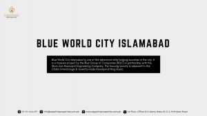 The Difficulties Facing Investors in Blue World City