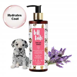 How to Care for Your Dog’s Coat with Telltails Dog Coat Shampoo