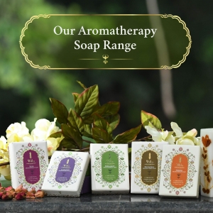 Discover the Magic of Aromatherapy