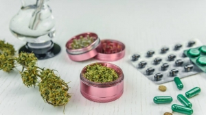 Everything You Need to Know About Feminized Cannabis Seeds