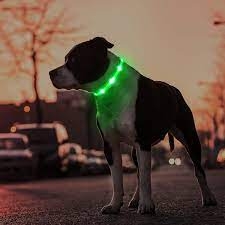 Dog Collar with LED Light