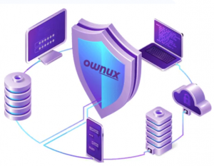 Top Cyber Security Services in the USA | Protect Your Business Now