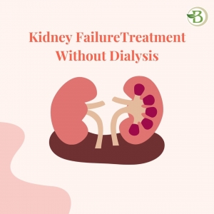 Comprehensive Chronic Kidney Disease Treatment at Bharat Homeopathy