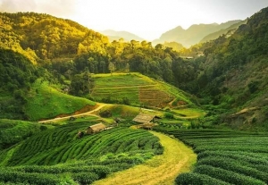 Discover the Beauty of Himalaya with Assam Holiday Packages
