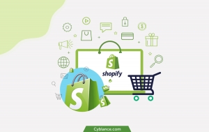 Why Are Shopify's Ecommerce Platforms the Best?