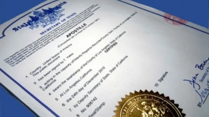 How Document Legalization Services Can Protect Your Legal Interests Abroad