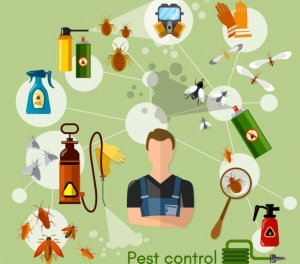 Top 5 Benefits of Professional Fumigation for Your Home and Business
