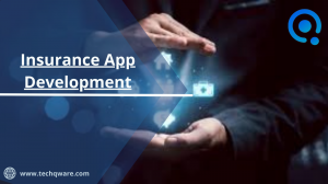 Insurance App Development Services