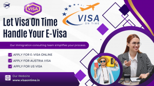 Let Visa On Time Handle Your E-Visa, So You Can Handle the Fun