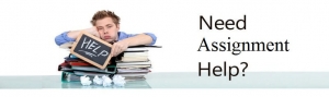 How to Overcome the Challenges of Remote Learning With Assignment Helpers
