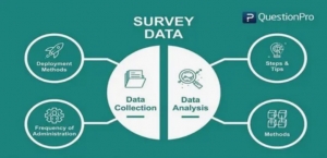 5 Survey Platforms That Offer Higher Rewards and Faster Payouts
