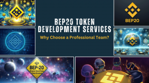 BEP20 Token Development Services: Why Choose a Professional Team?
