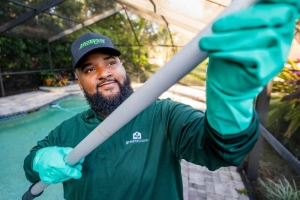 Effective Spider Control Outside Your Home