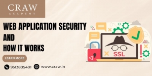 What Is Web Application Security and How It Works