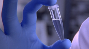 DNA Encoded Library Market will grow at highest pace owing to technological advancements in drug discovery 